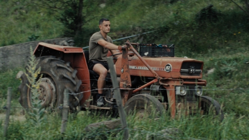 The image shows a young man at the wheel of an old, rusty-orange tractor, fully focused on his task. Dressed in a khaki t-shirt and shorts, he has short hair and a relaxed expression. The tractor is nestled amidst lush greenery, surrounded by tall grass and wild plants.