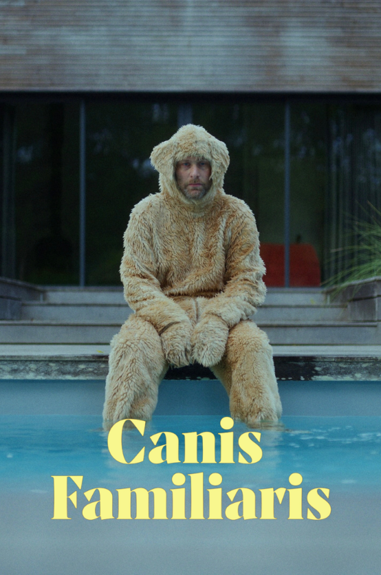 Canis Familiaris 