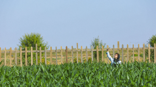 The heroine tries to find a mobile signal on a plantation.