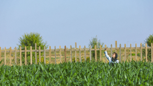 L'héroïne cherche du réseau dans une plantation