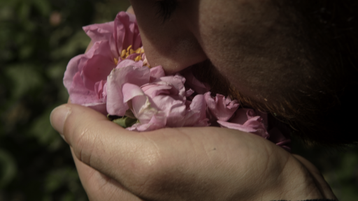 Abdulkader qui sent une rose 