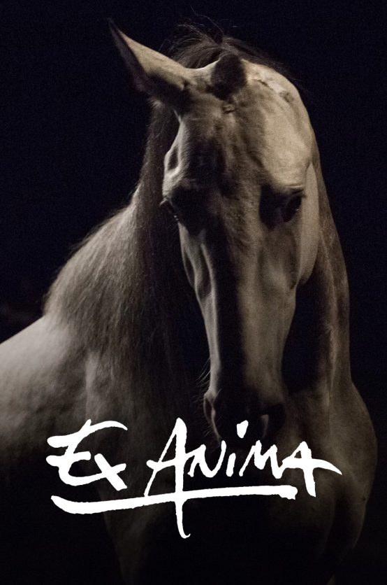 Ex Anima Poster - Ex Anima