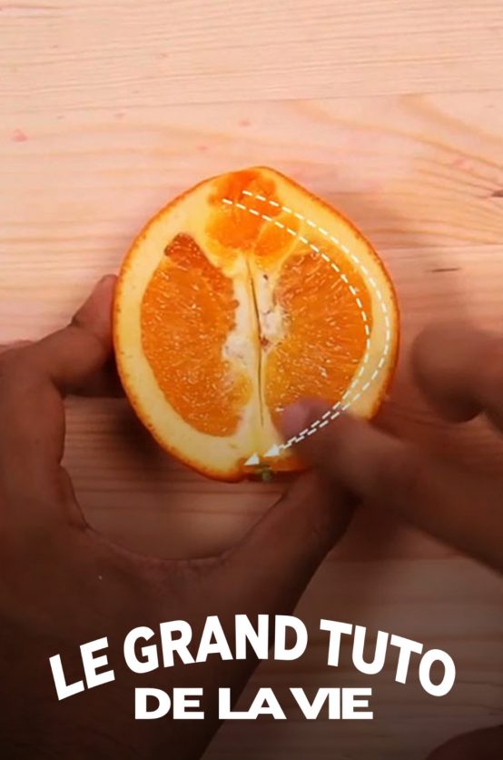 Le Grand Tuto de la Vie Poster - Le grand tuto de la vie