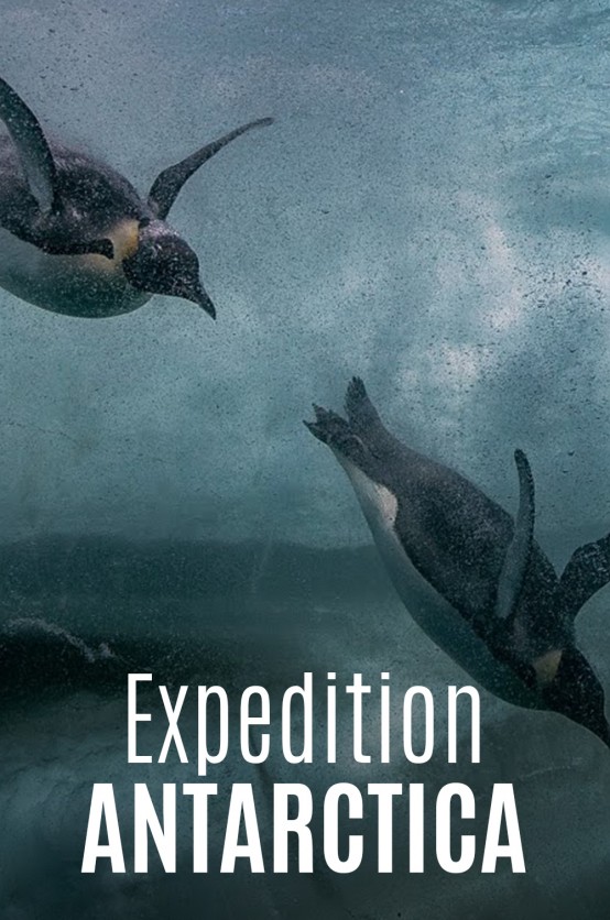 Expedition Antarctica Poster Expedition antartica