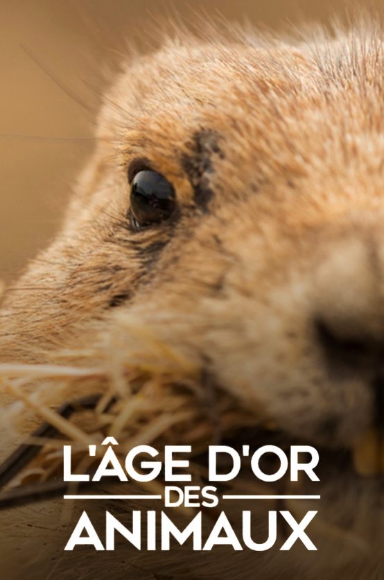 L’âge d’or des animaux Poster - Age d'or animaux