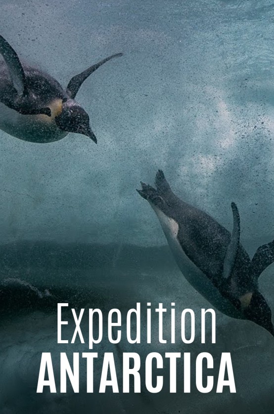 Expedition Antarctica Poster Expedition Antartica