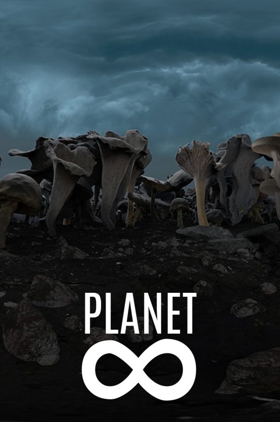 Planet ∞ Poster - Planet 8