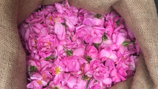 Sac de roses 