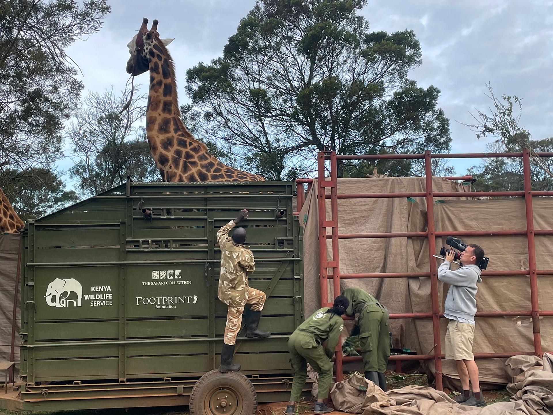 360° Reportage: Kenia – Giraffen als Botschafter des Friedens