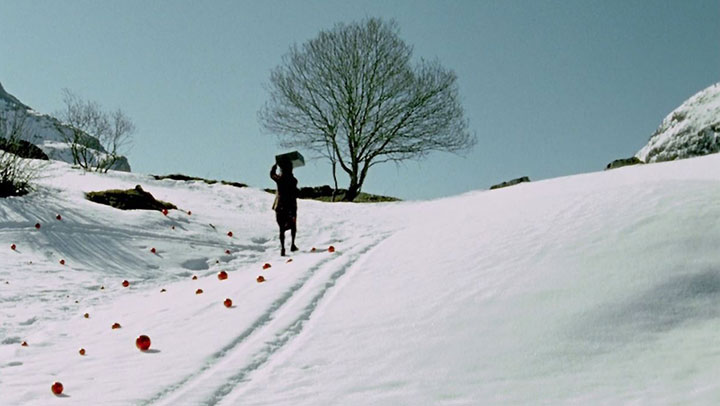 Boules de noël - Habillage ARTE 2002