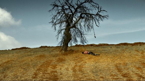 Le Poirier sauvage de Nuri Bilge Ceylan