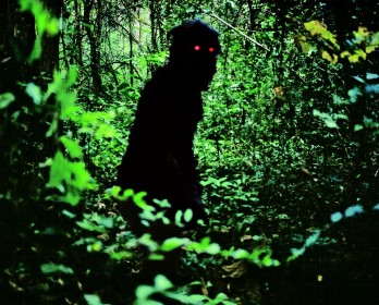Uncle Boonmee Who Can Recall His Past Lives (2010)