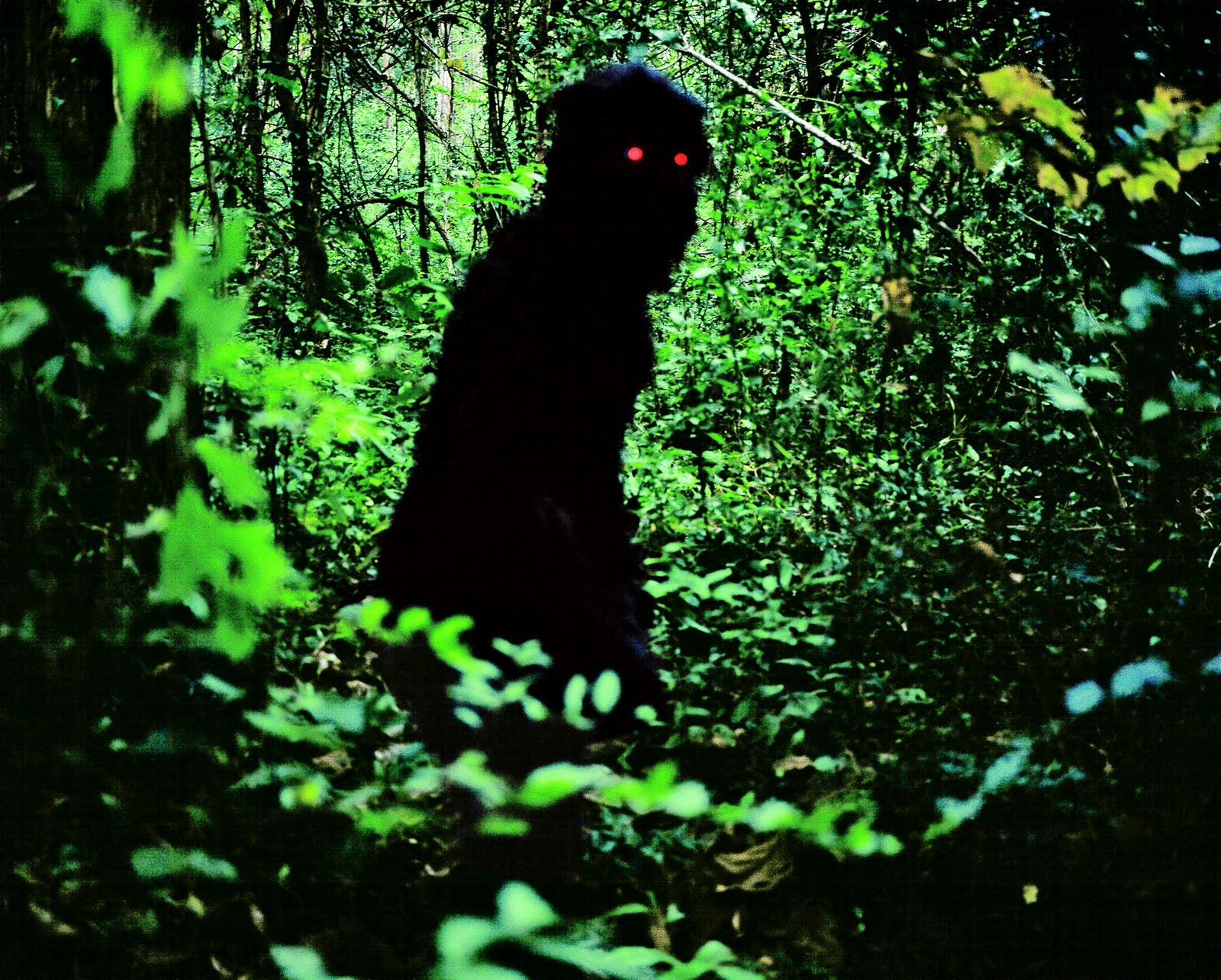 Résultat de recherche d'images pour "uncle boonmee who can recall his past lives"