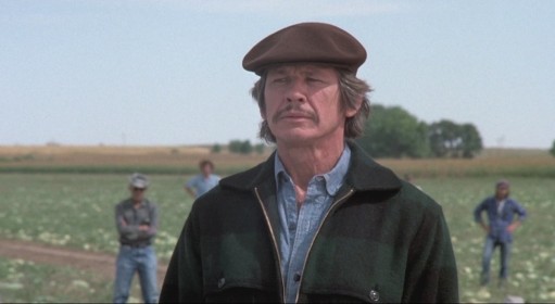 Charles Bronson dans Monsieur Majestyk (1974)