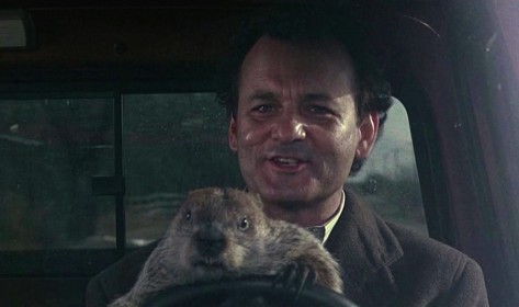 Bill Murray et une marmotte dans Un jour sans fin