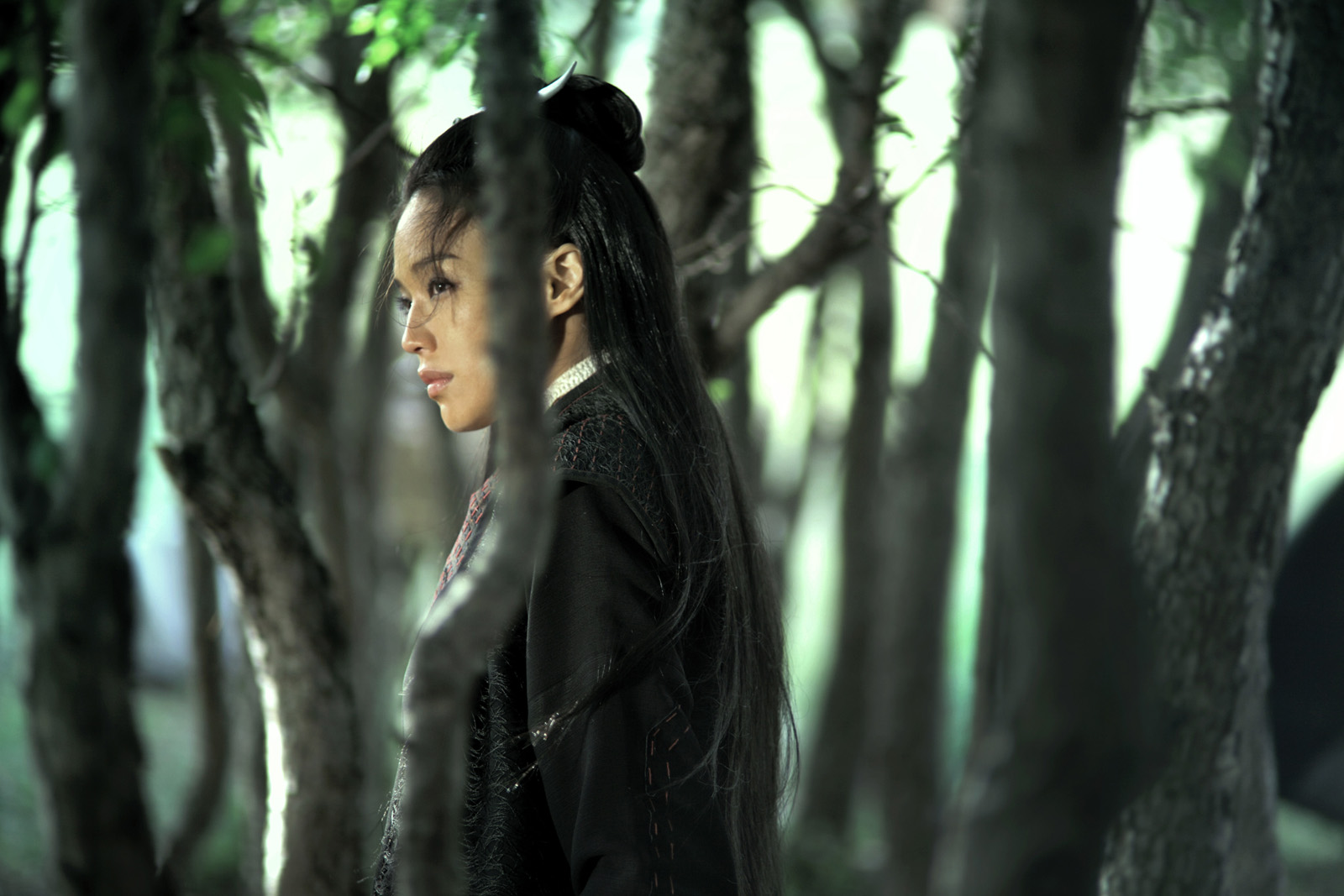 Sublime Shu Qi dans The Assassin de Hou Hsiao-hsien