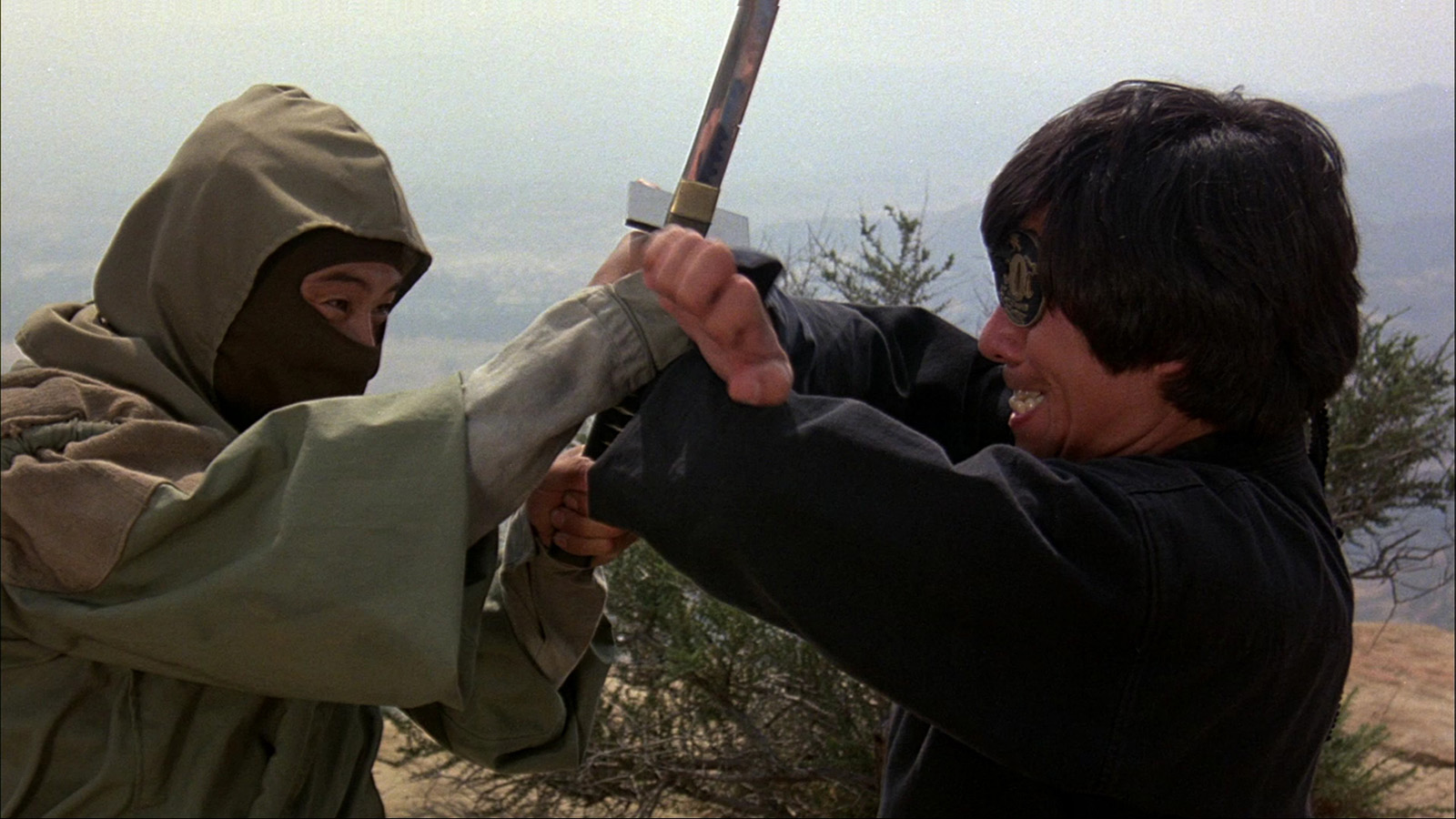 Ninja III